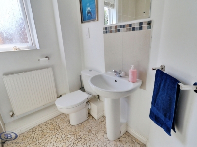 Picture 24
